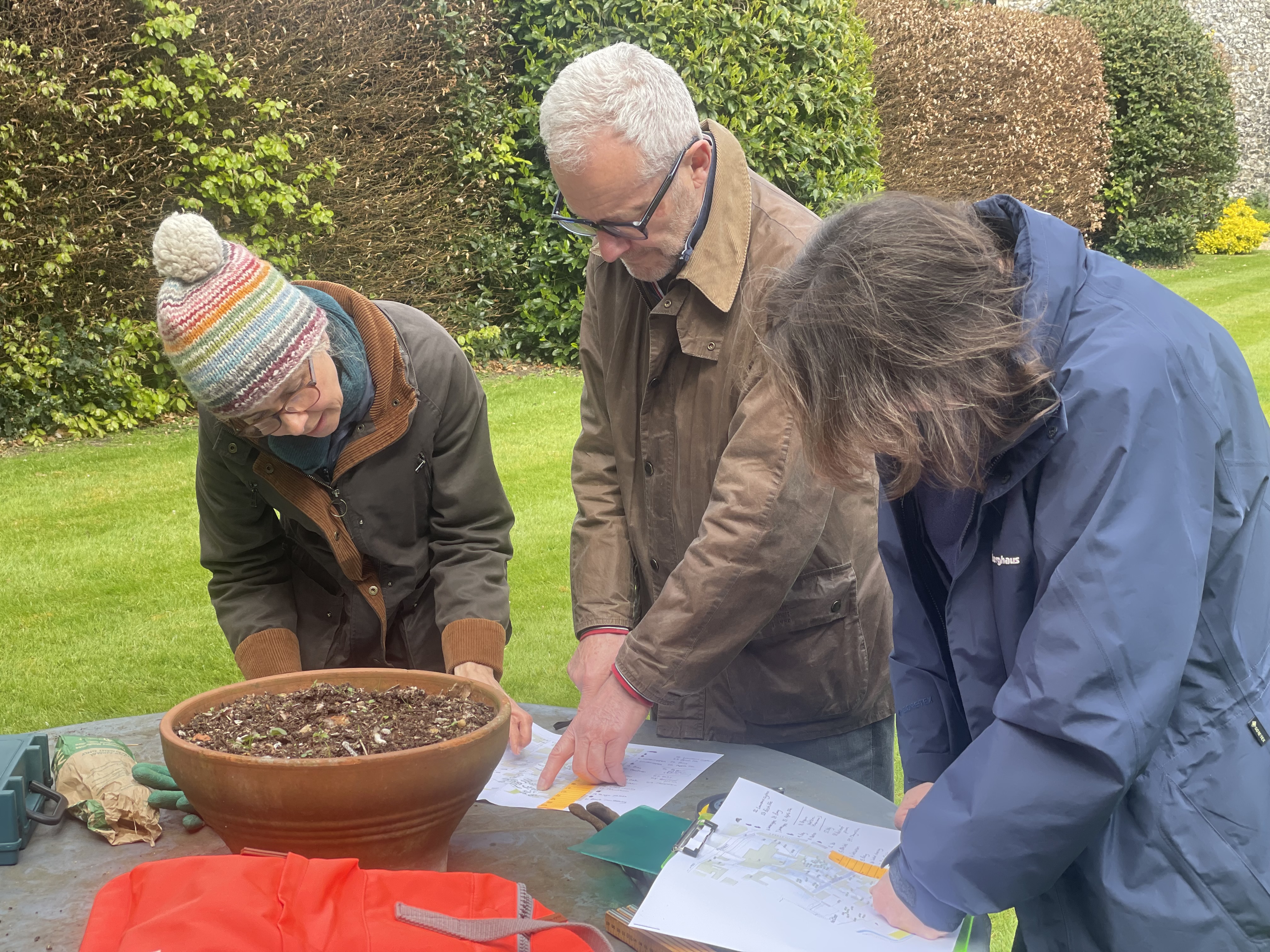 volunteers map trees in the Cathedral Quarter