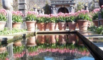 Gardening%20talk%2019%20March%20CAPTION%20ARUNDEL%20CASTLE%20GARDEN.jpg