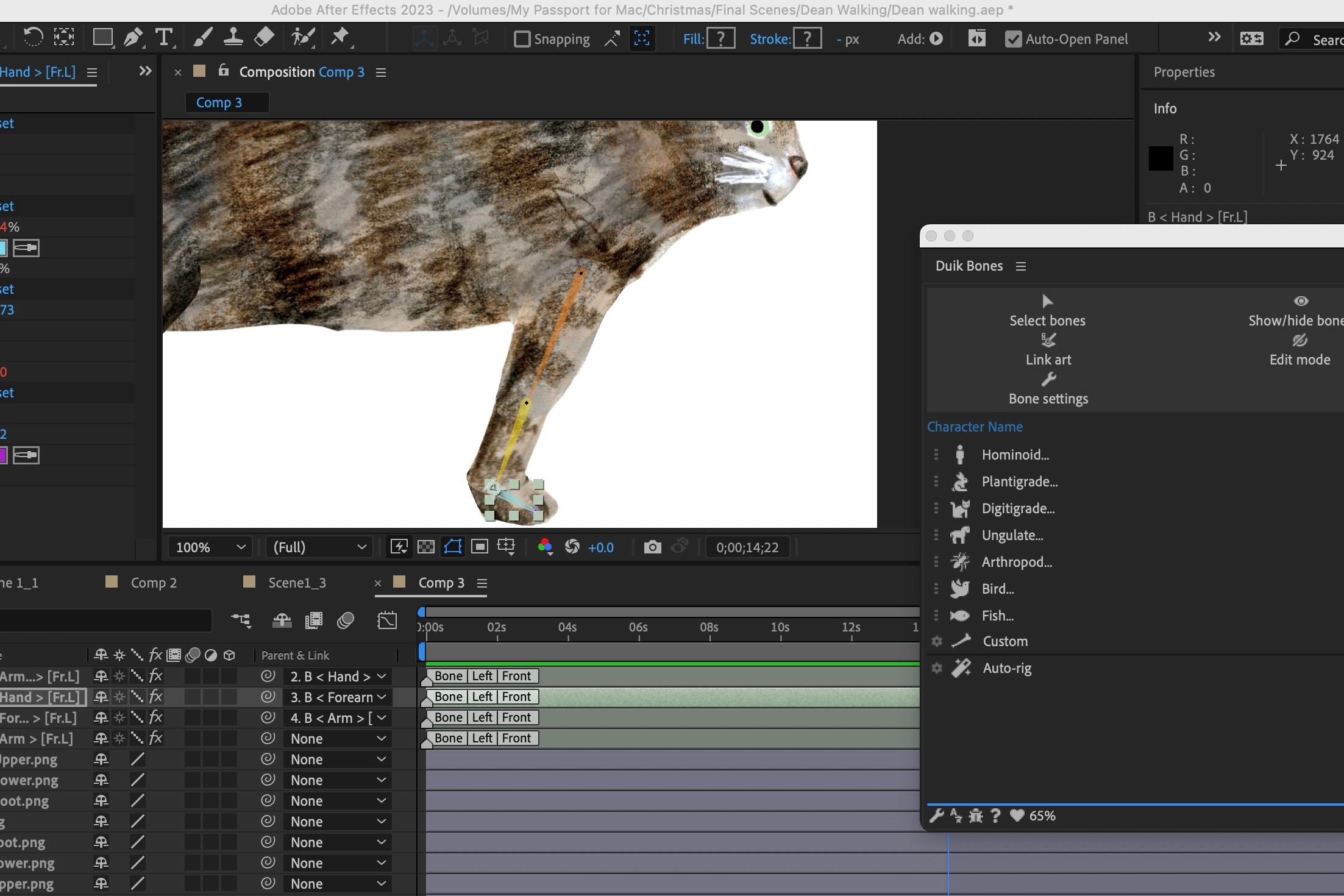 Screenshot of Adobe After Effects interface with an illustration of Bertie, a brown and white tabby cat