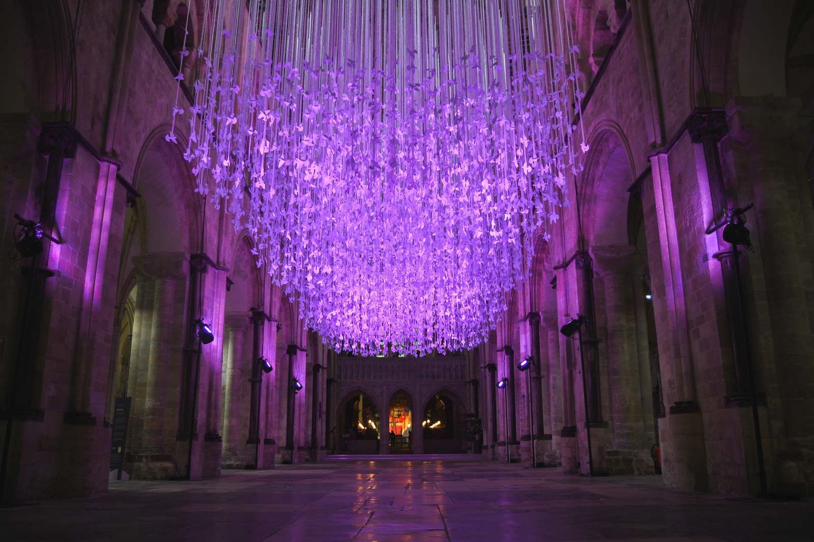 15000 paper doves suspended from the Cathedral Nave, lit with purple lighting