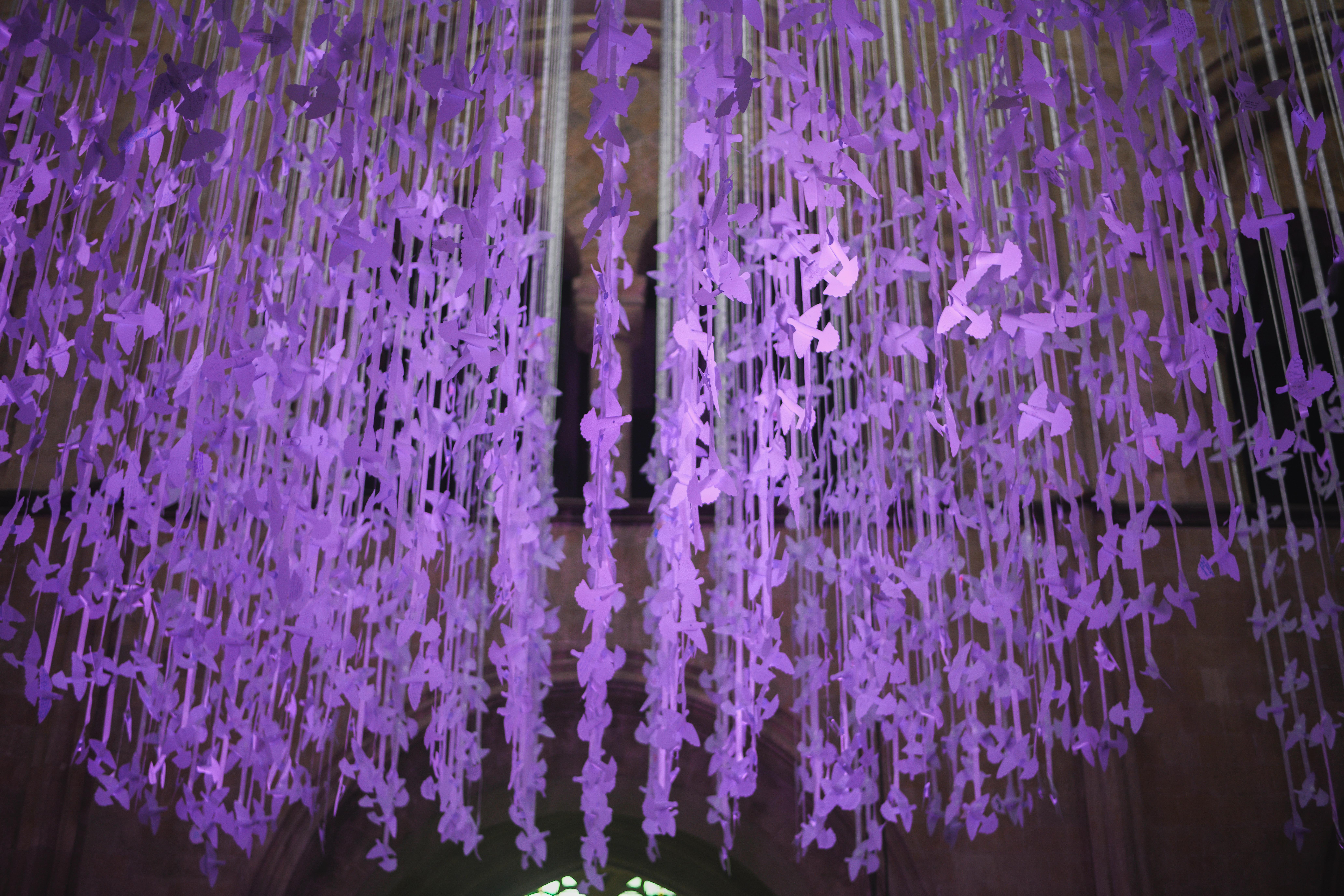 Peace Doves up close, illuminated purple
