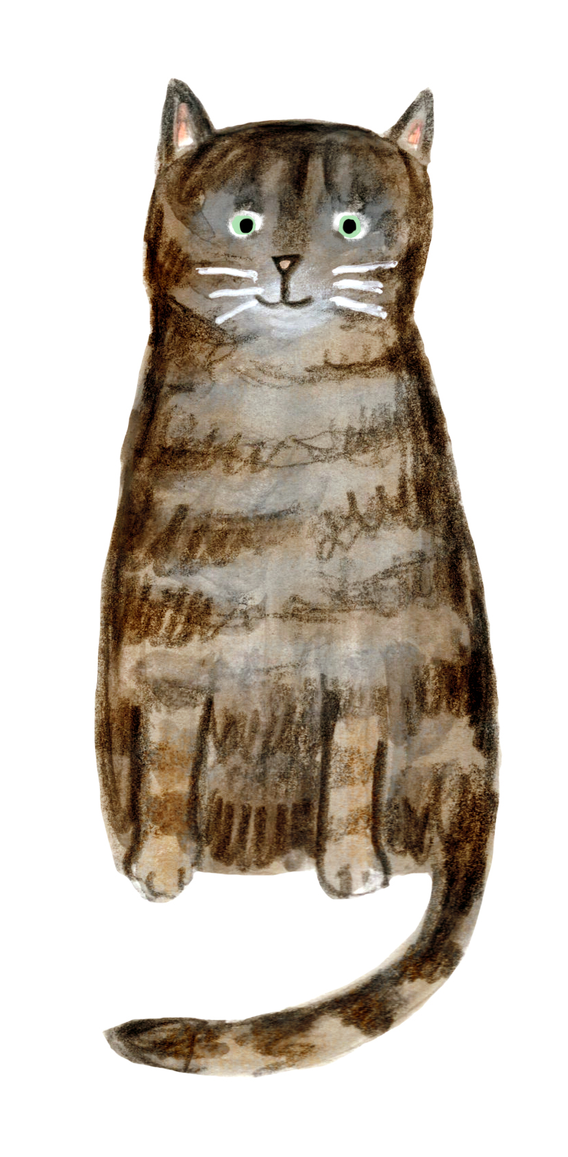 Bertie, a grey and brown cat illustration