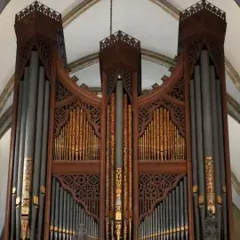 Organ