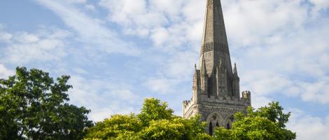 cathedral spire behind a line of trees