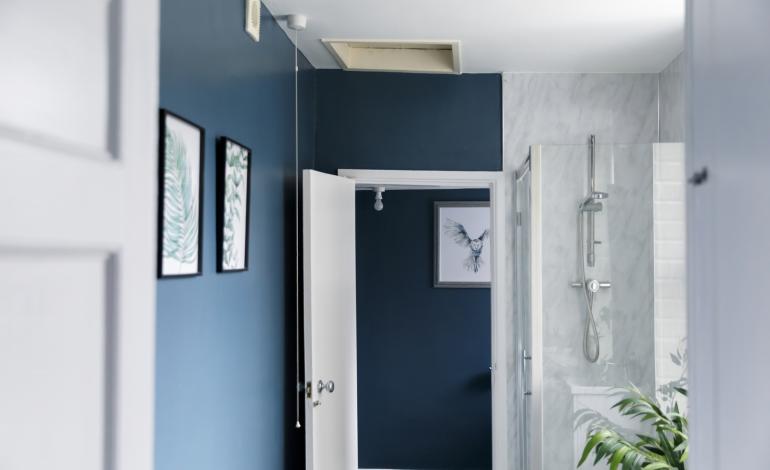 shower room and toilet