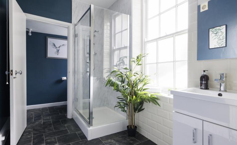 shower room and toilet