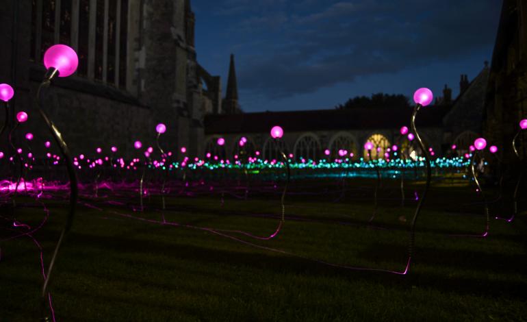 Field of Blooms in Paradise, a reflective green space in the Cathedral Cloisters