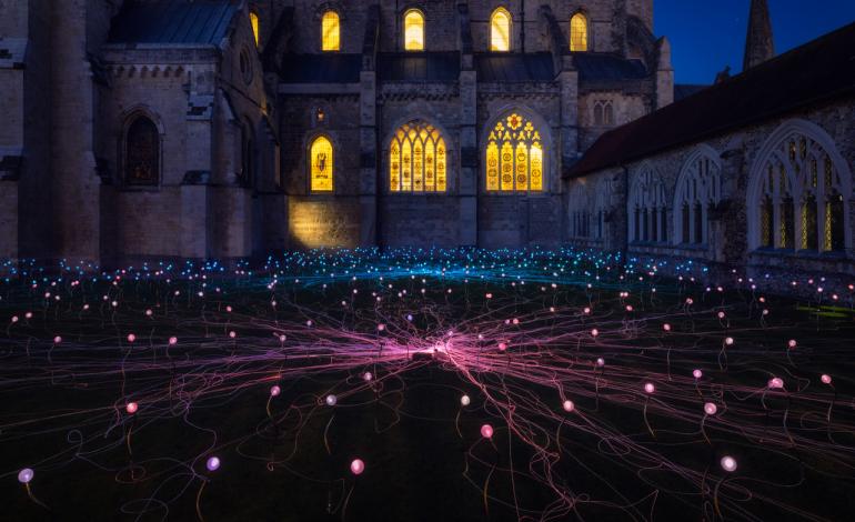 Field of Blooms in Paradise, a reflective green space in the Cathedral Cloisters