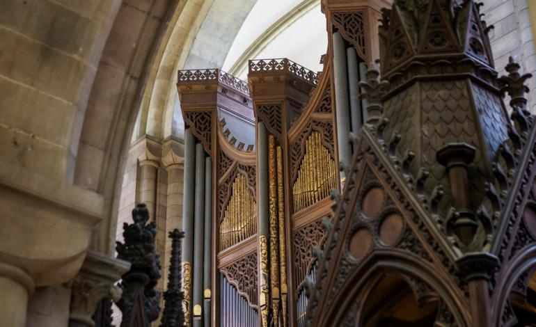 organ