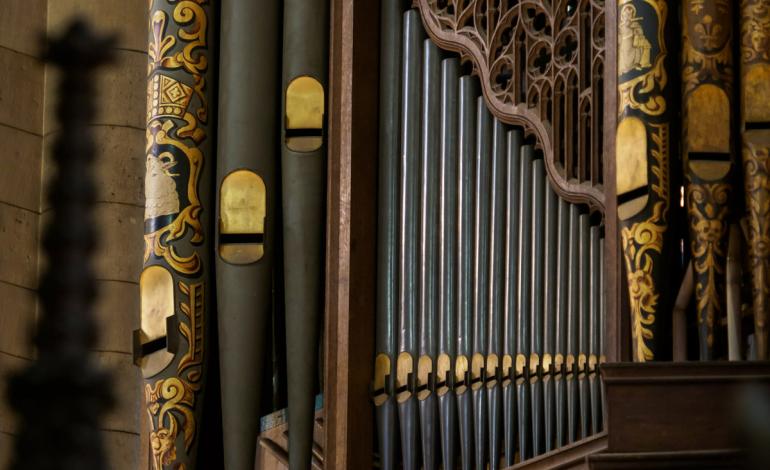 organ