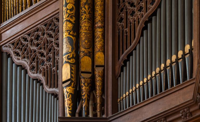 organ