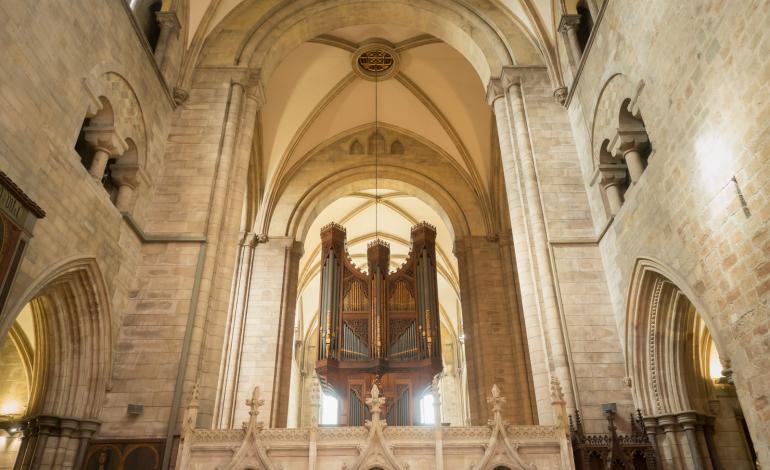 organ