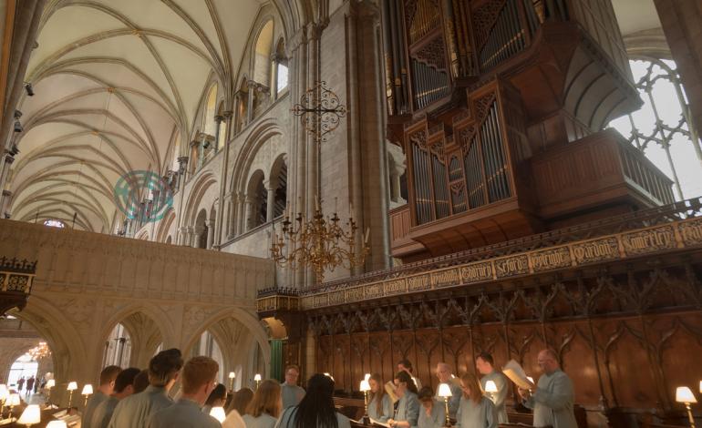 organ