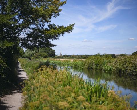The route between Selsey and Chichester