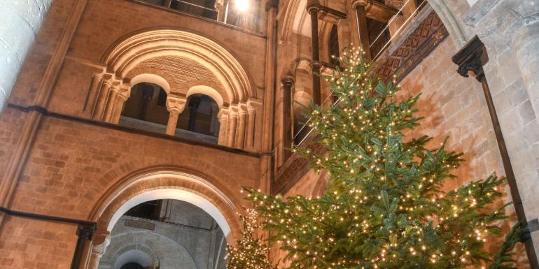 The Cathedral Nave at Christmas