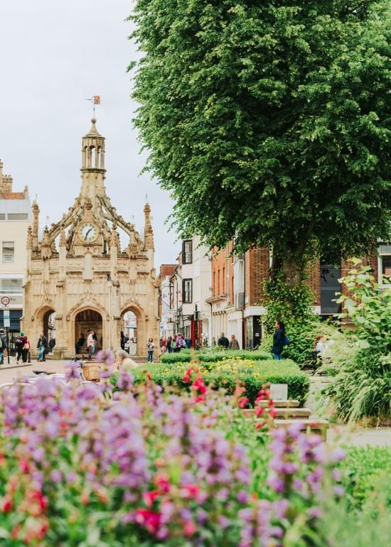 Chichester city centre with the historic Market Cross in the background, surrounded by shops and pedestrians, with vibrant flower beds and greenery in the foreground and a large leafy tree to one side.